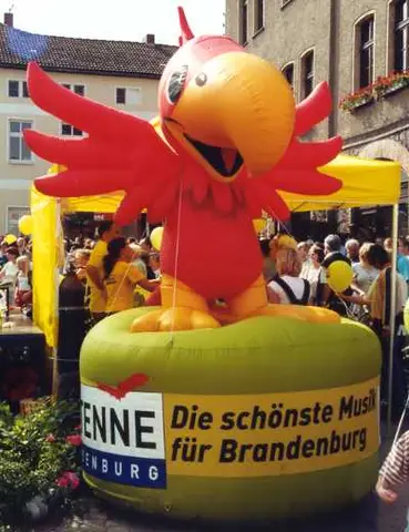 Antenne-vogel2