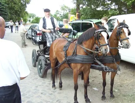 Kutsche